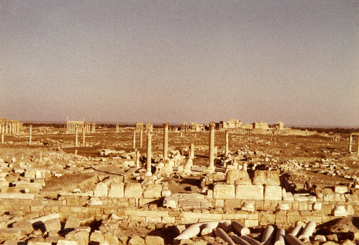 preview Palmyra, Stadtbild